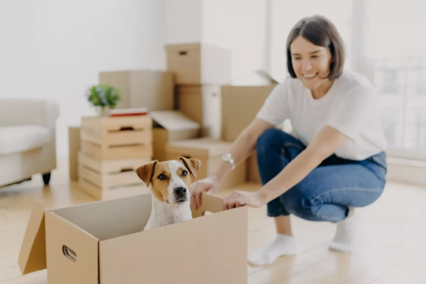 Umzüge im privaten Bereich. Privatumzug mit Hund und Kinder.