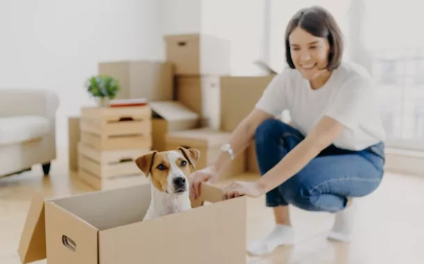 Umzüge im privaten Bereich. Privatumzug mit Hund und Kinder.